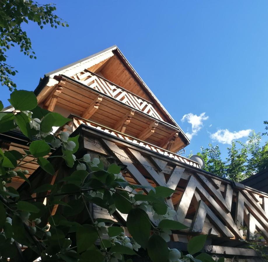 Mitia Zakopane