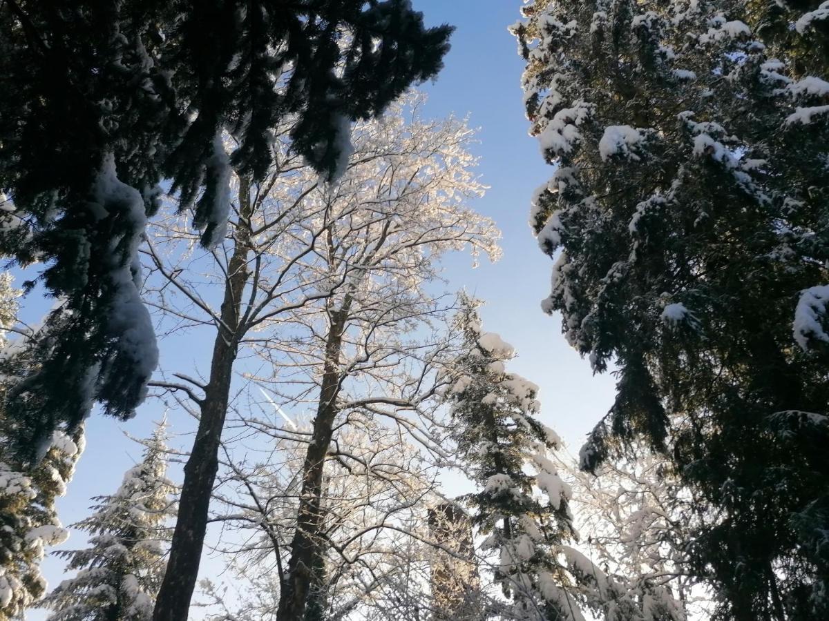 Mitia * Zakopane