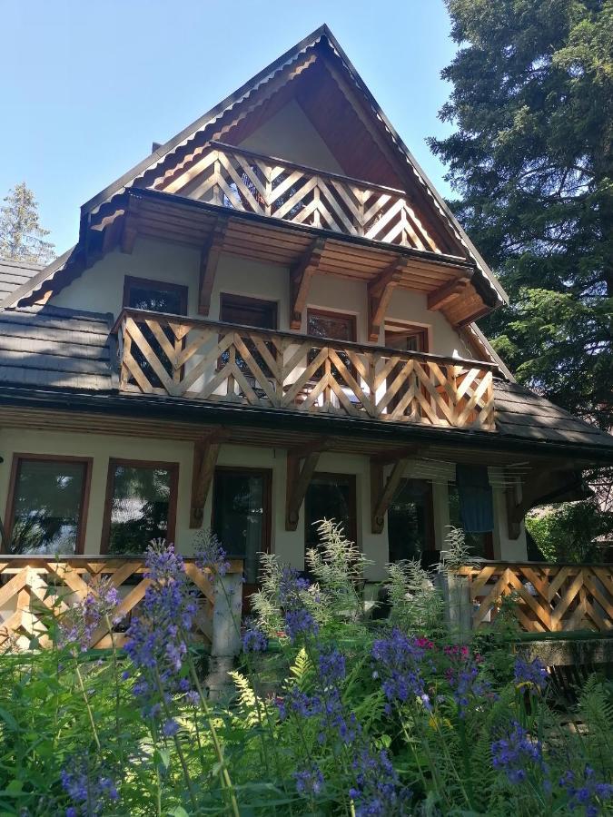 Mitia * Zakopane