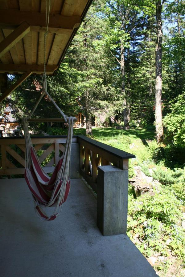 Mitia Zakopane