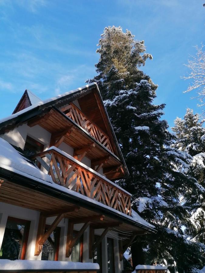 Mitia Zakopane